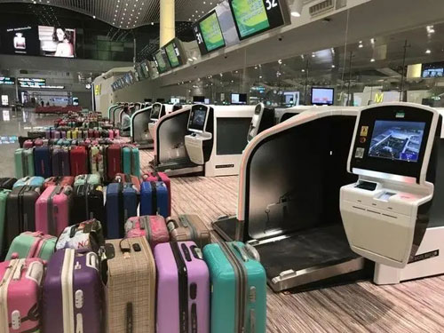 杨林街道行李托运